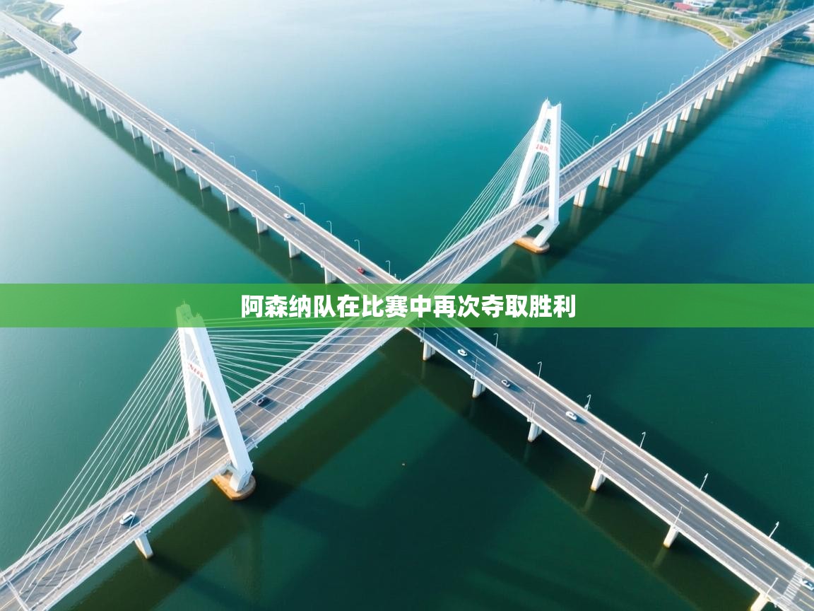 阿森纳队在比赛中再次夺取胜利  第1张