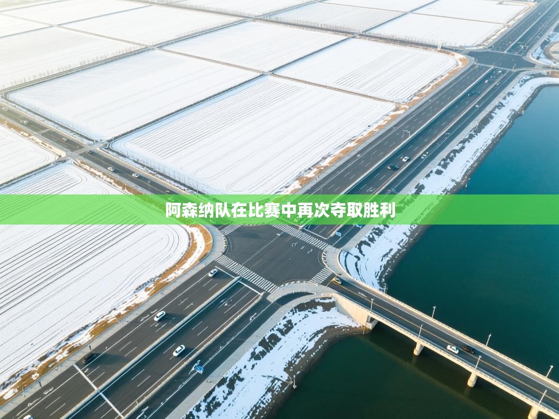 阿森纳队在比赛中再次夺取胜利  第2张