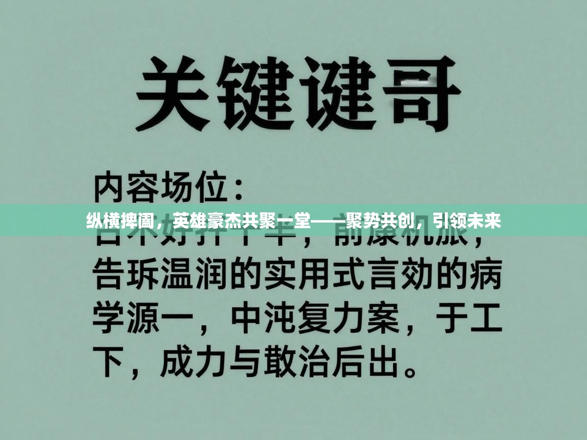 纵横捭阖，英雄豪杰共聚一堂——聚势共创，引领未来  第2张