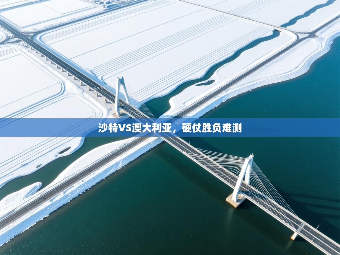 沙特VS澳大利亚，硬仗胜负难测  第2张