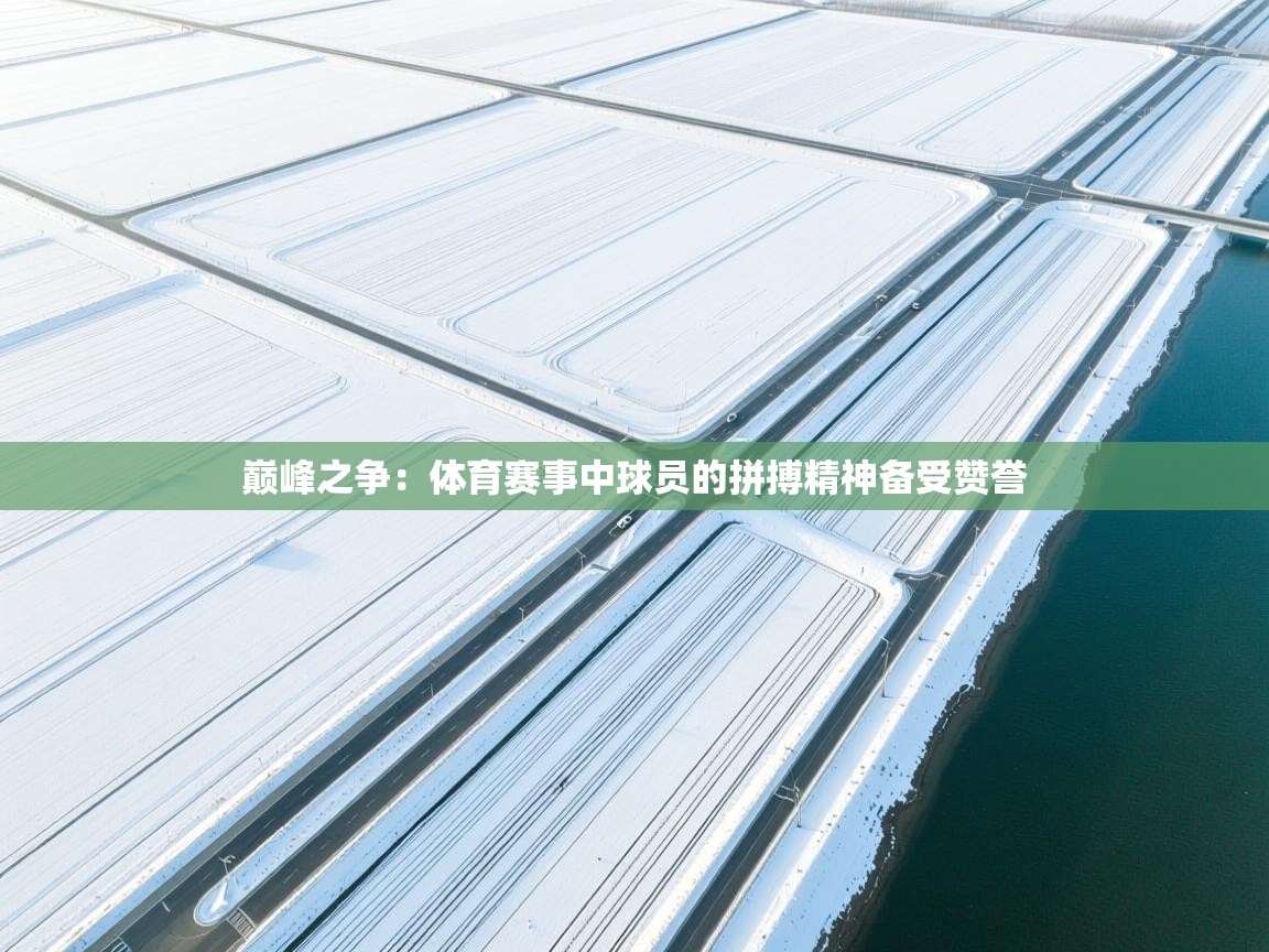 巅峰之争:体育赛事中球员的拼搏精神备受赞誉 第1张