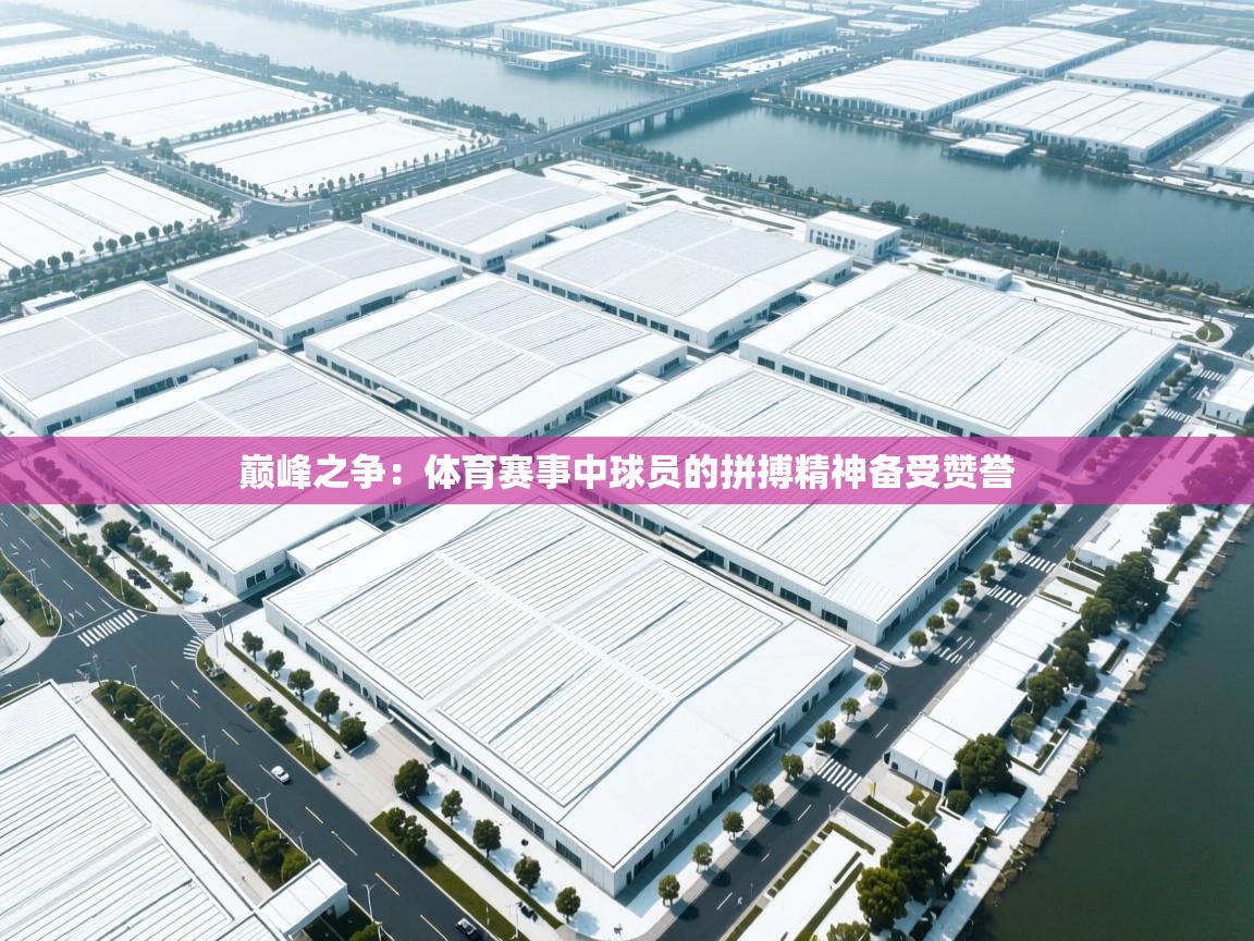 巅峰之争:体育赛事中球员的拼搏精神备受赞誉 第2张