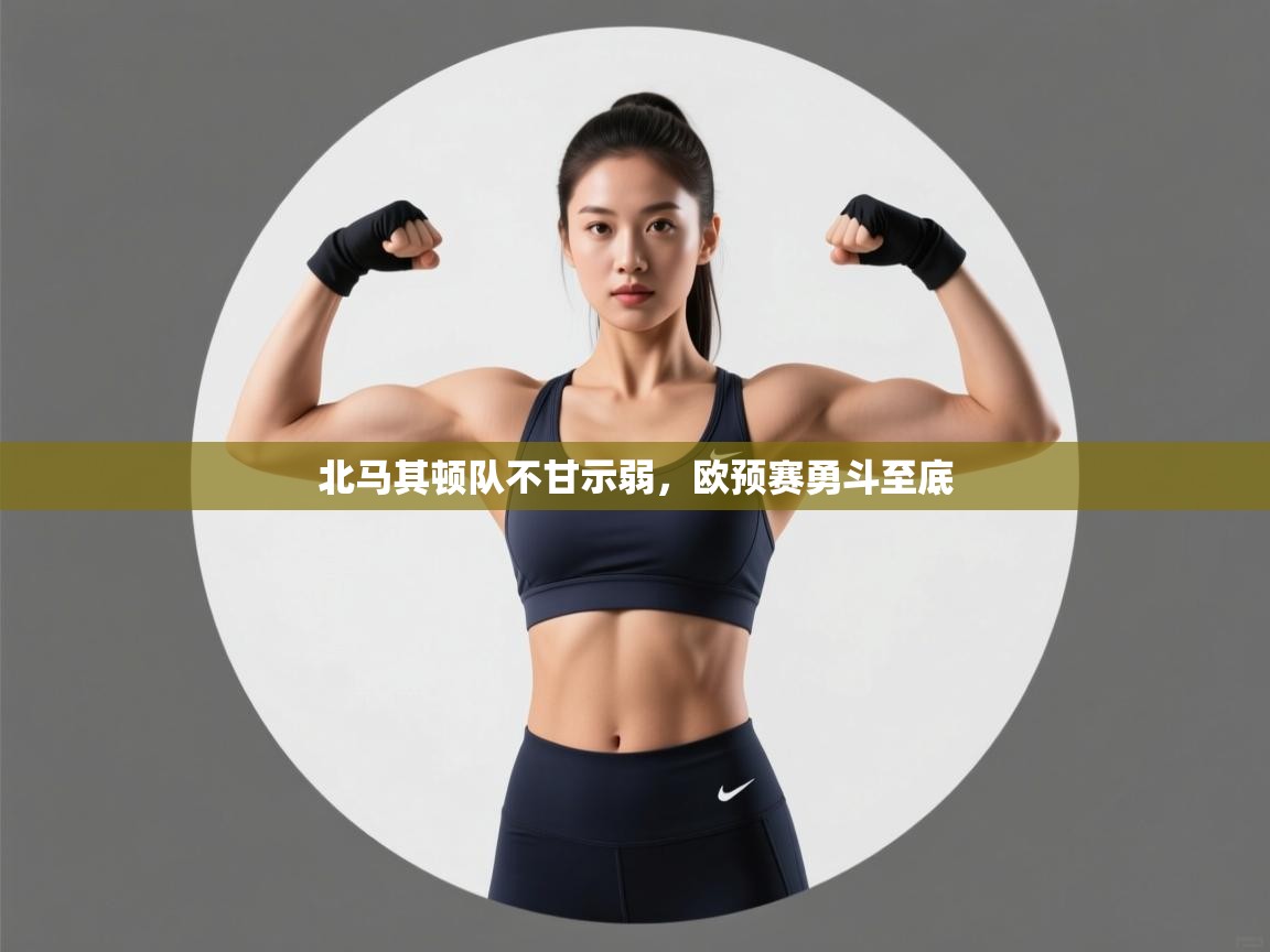 北马其顿队不甘示弱，欧预赛勇斗至底  第1张