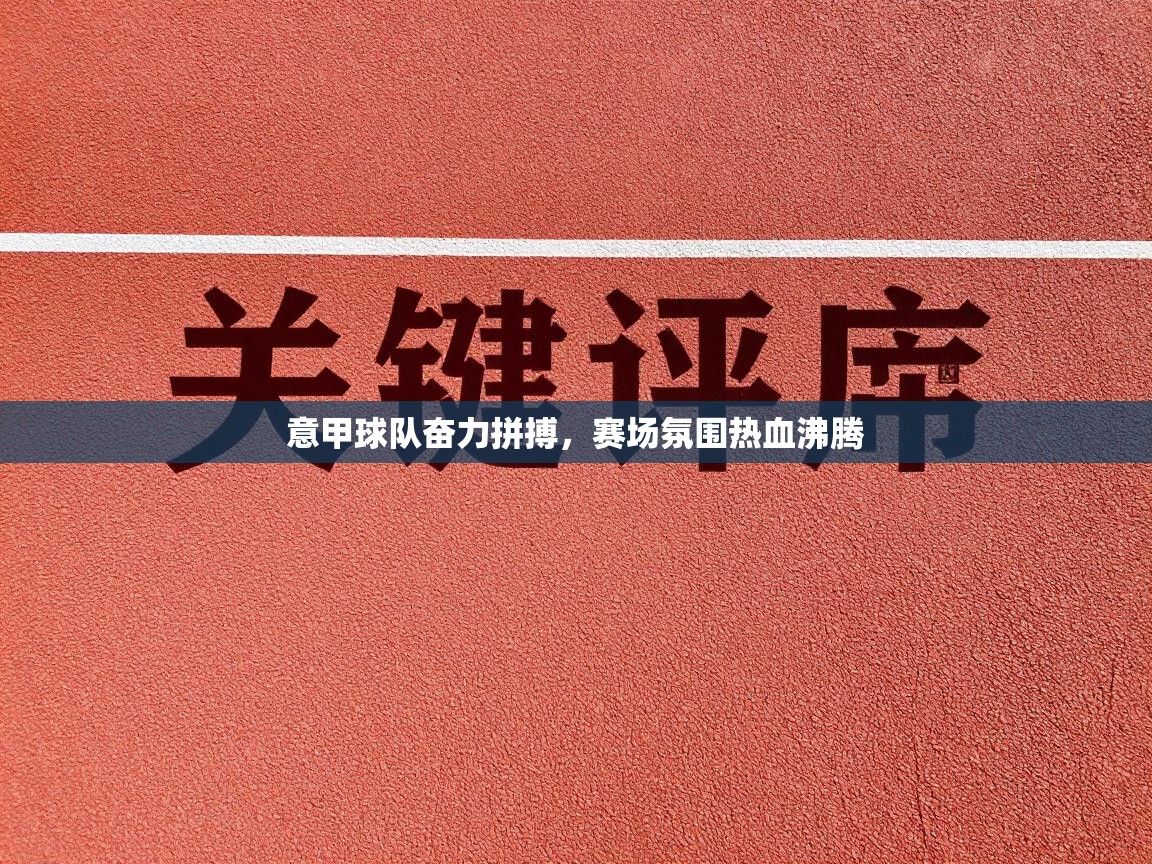 意甲球队奋力拼搏,赛场氛围热血沸腾 第2张