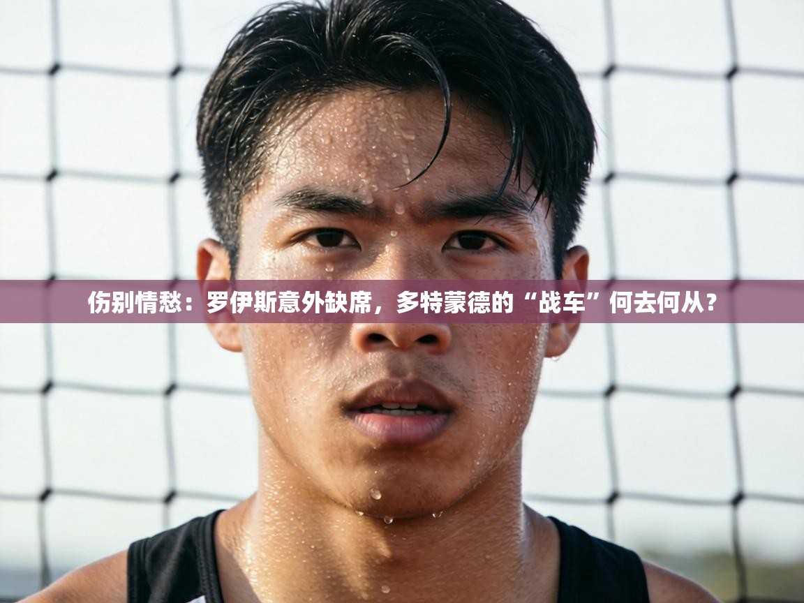 伤别情愁:罗伊斯意外缺席,多特蒙德的“战车”何去何从? 第1张